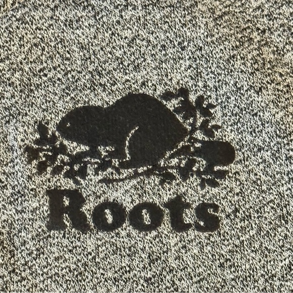 Roots Gray Full-Zip Hoodie Jacket

#1218 - Picture 5 of 10